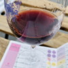 Thumbnail of new posts 016